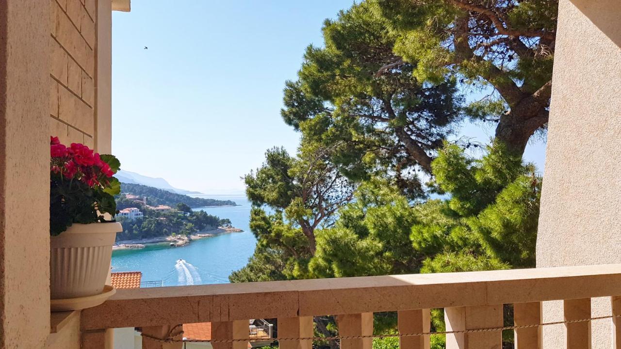 Villa Brela *
